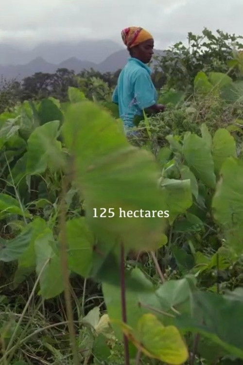 125 hectares (2019) poster