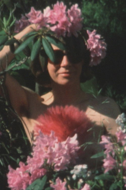 Super 8 Diary - 1984 (1984) poster