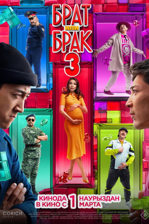 Brother or Marriage 3 (2024) poster