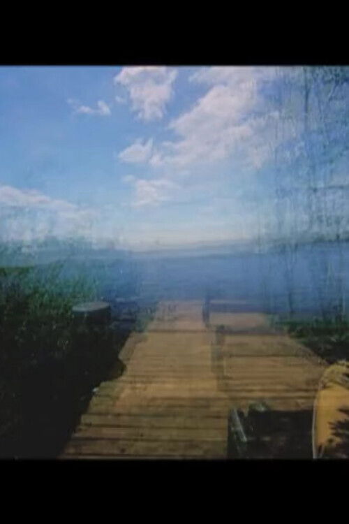 Anticipation #4 (2011) poster