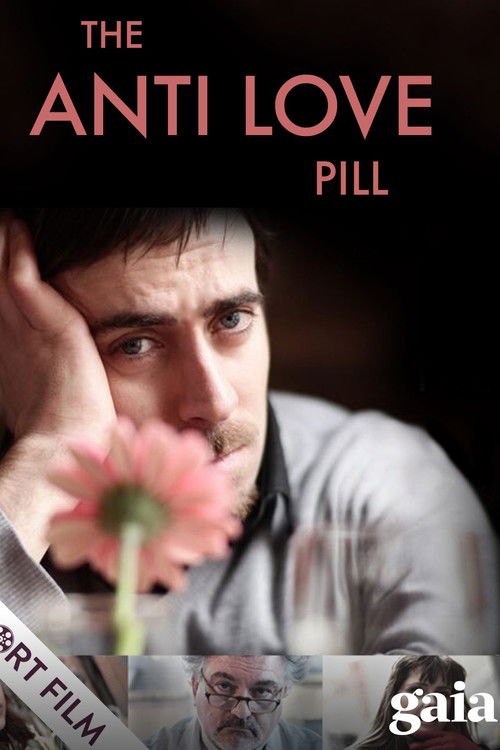 The Anti Love Pill (2013) poster