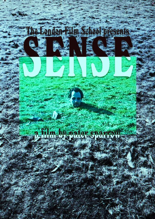 Sense (2000) poster
