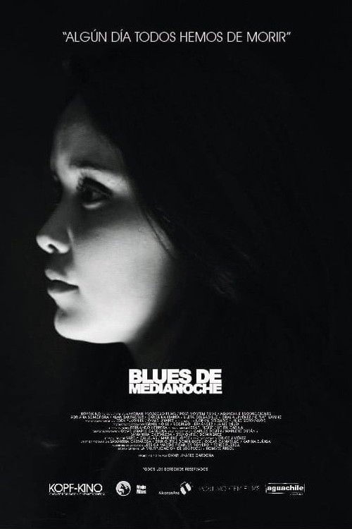 Blues de medianoche (2014) poster