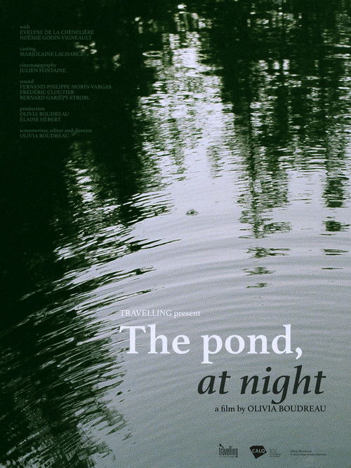 The Pond, at Night (2020) poster