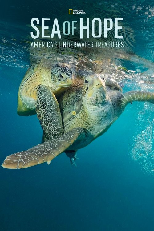 Sea of Hope: America's Underwater Treasures (2017) poster