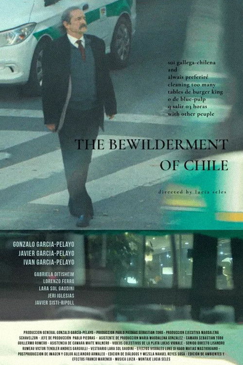 The Bewilderment of Chile (2025) poster