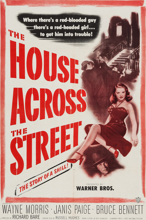 The House Across the Street (1949) poster