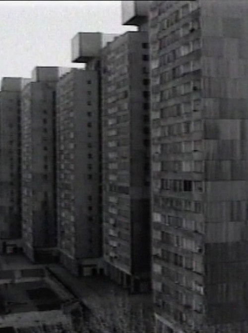 From My Window (1999) poster