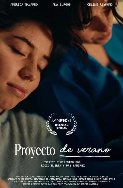 Proyecto de verano (2025) poster