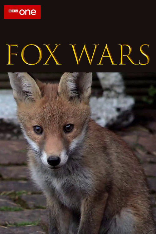 Fox Wars (2013) poster