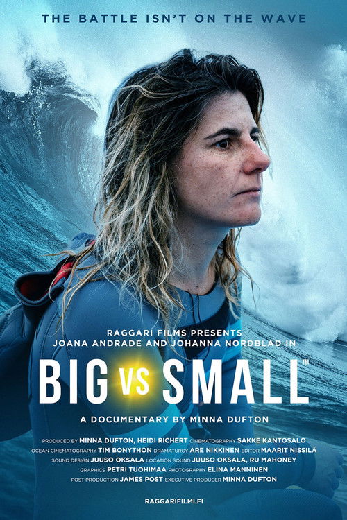 Big vs. Small (2020) poster