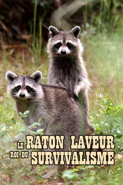 Le raton laveur, roi du survivalisme (2021) poster