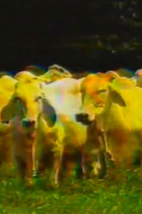 El Ángel del Pantano (1997) poster