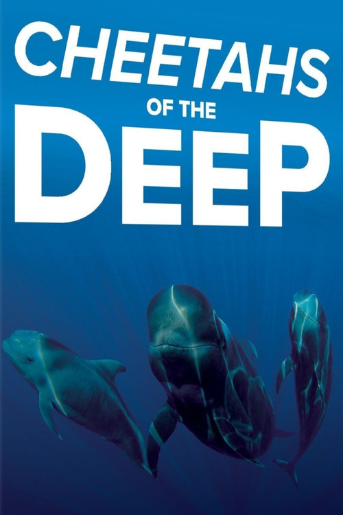 Cheetahs of the Deep (2014) poster