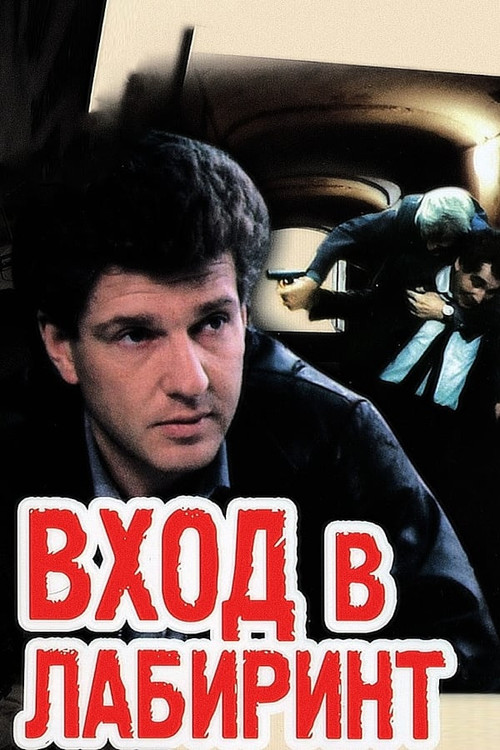 Вход в лабиринт (1990) poster