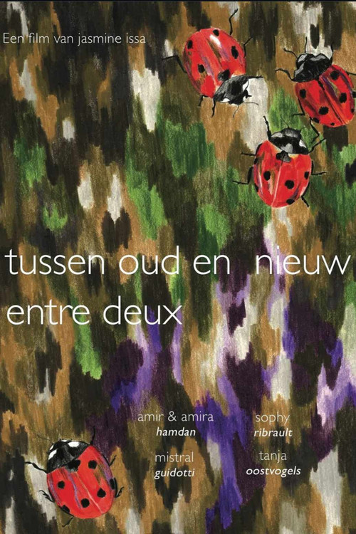 Tussen oud en nieuw / entre deux (2024) poster