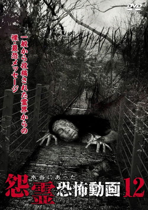 Real Vengeful Ghost Horror Video 12 (2015) poster