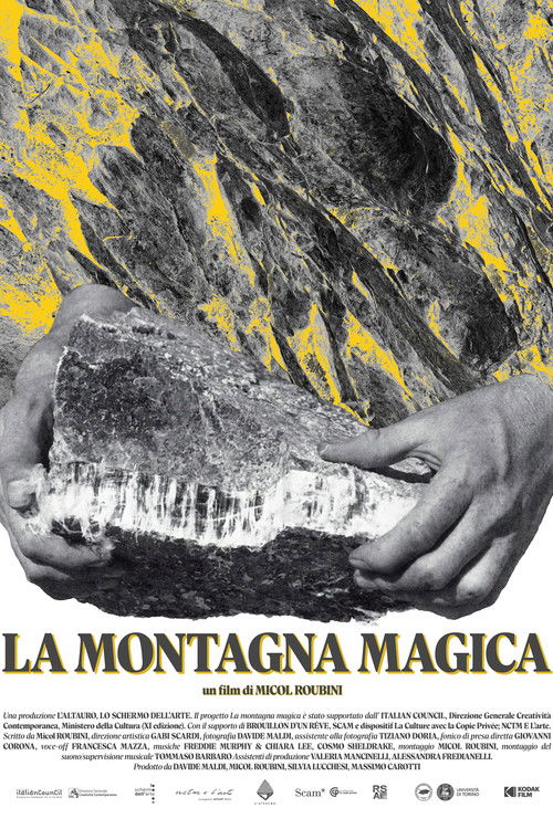 La montagna magica (2025) poster