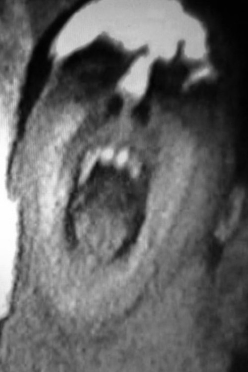 Dont Shout (1983) poster