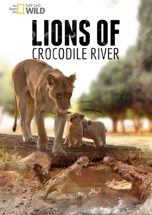 Lions of Crocodile River (2007) poster