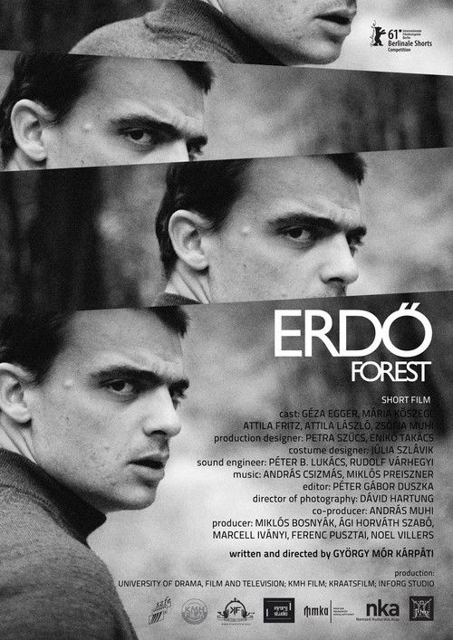 Forest (2011) poster