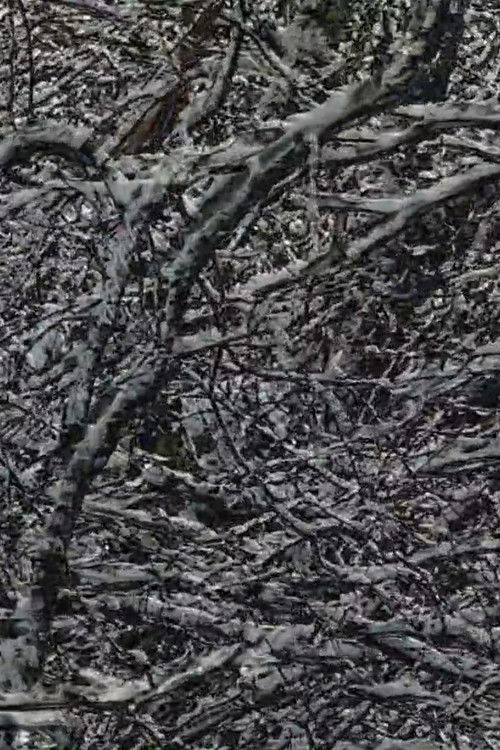 A Full Life (2021) poster