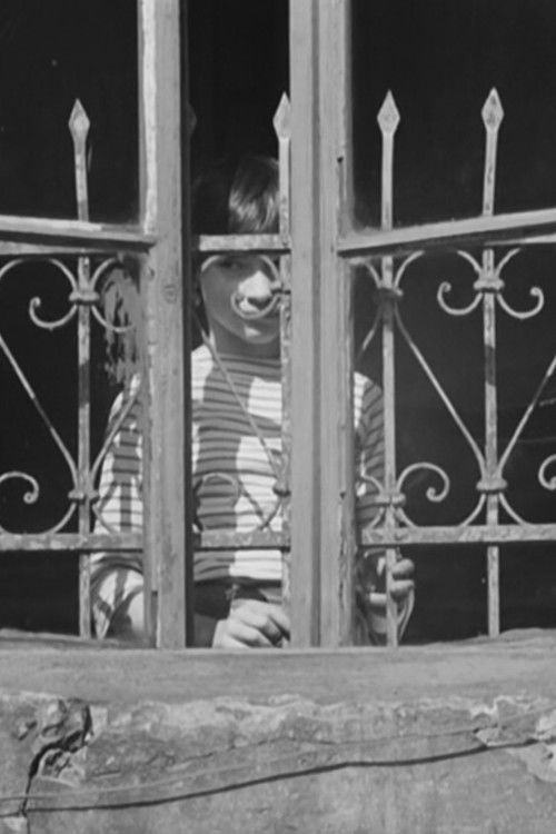 Agnieszka (1980) poster