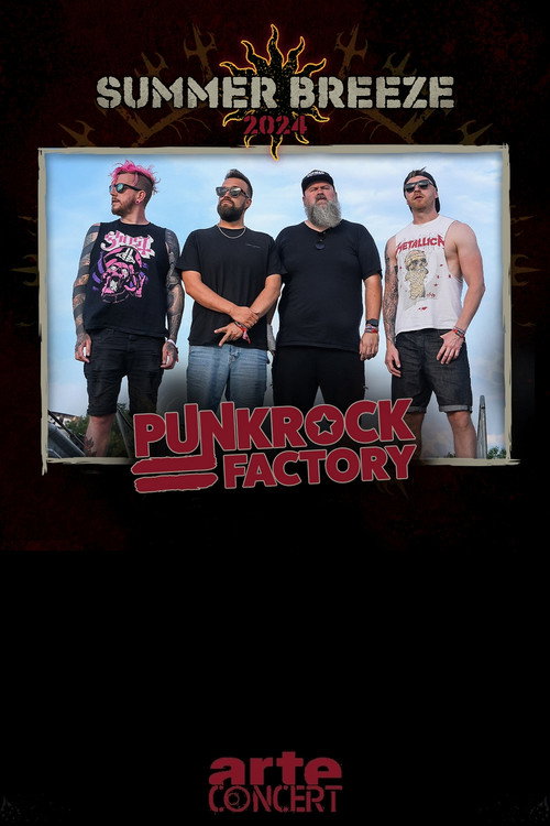 Punk Rock Factory - Summer Breeze 2024 (2024) poster