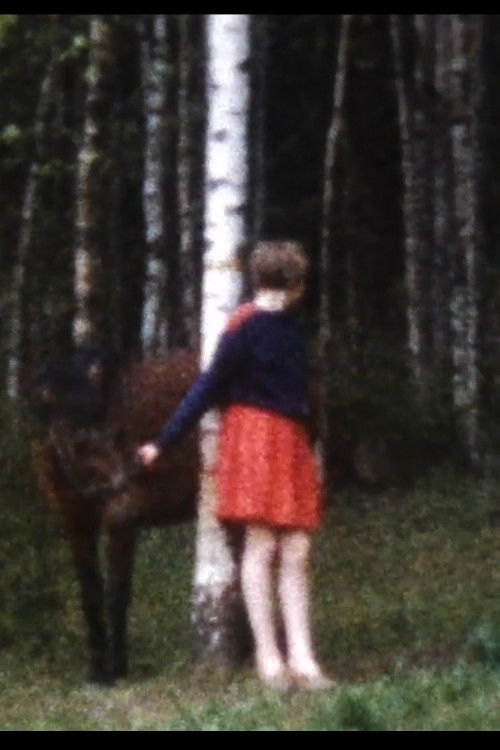 Världens sämsta hästtjej (2009) poster