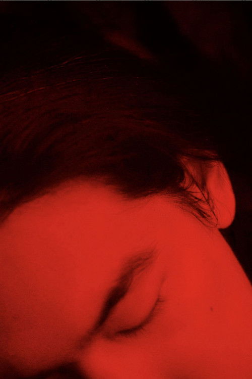 Interspecies Architecture (2021) poster