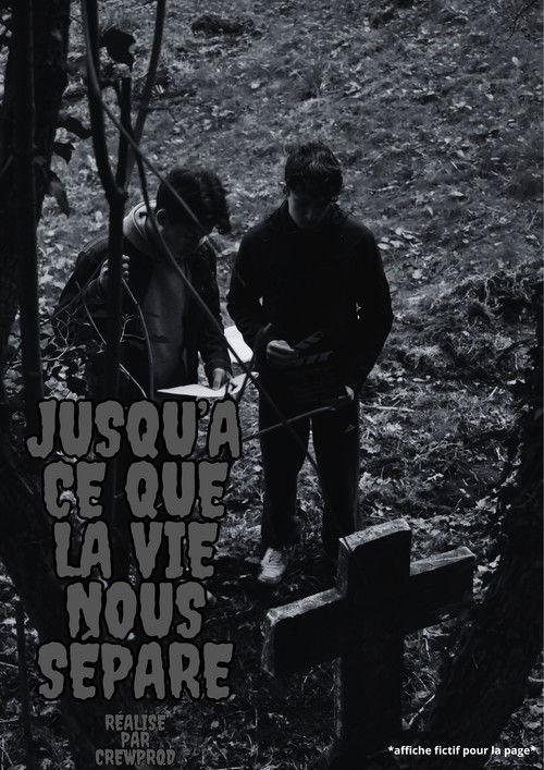 Jusqu'à ce que la vie nous sépare poster