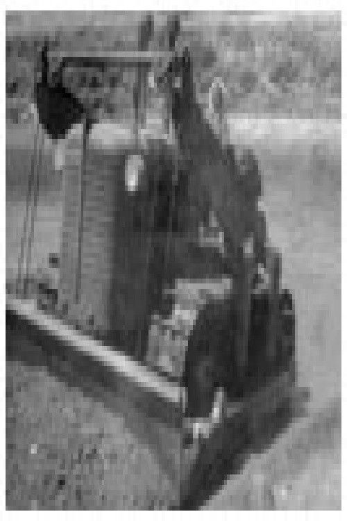 Јас, Блага Мицанова (1977) poster