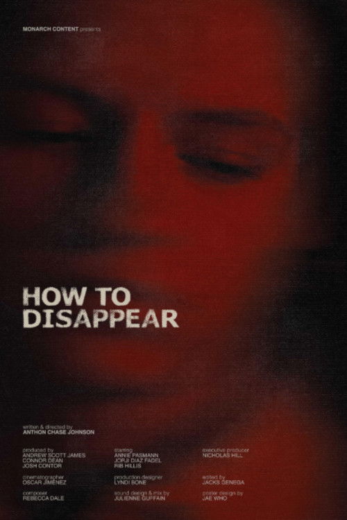 How to Disappear (2024) poster