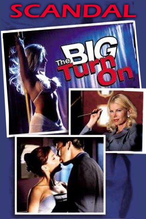 Scandal: The Big Turn On (2001) poster