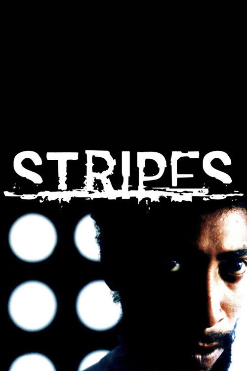 Stripes (2005) poster
