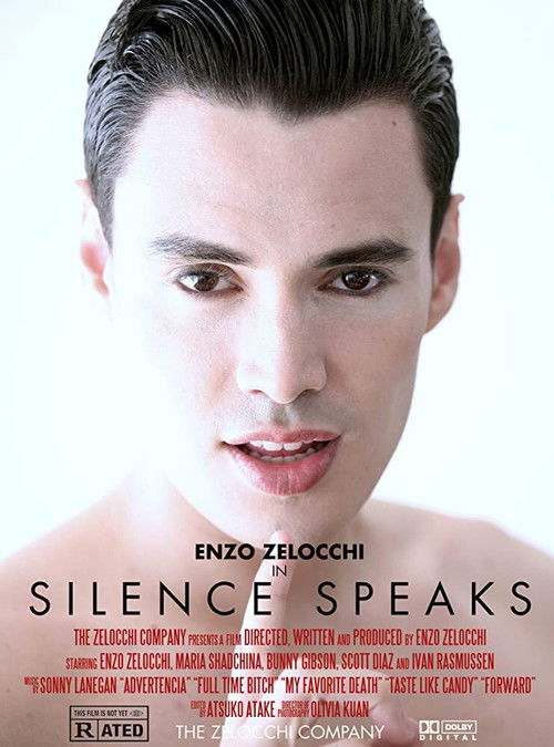 Silence Speaks (2013) poster