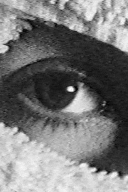 Pneurosis (en el baño) (2001) poster