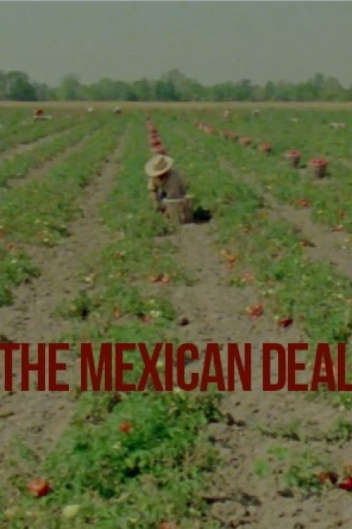 Le Deal mexicain (1980) poster
