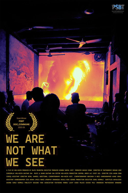 We Are Not What We See poster
