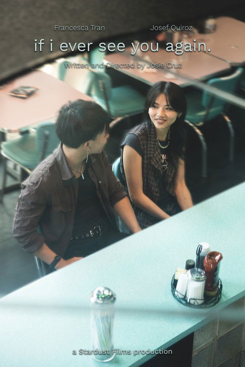 if i ever see you again. (2025) poster