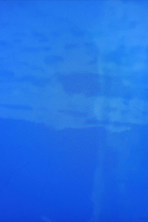 Imitation of Waves - Guy's Visions (2025) poster