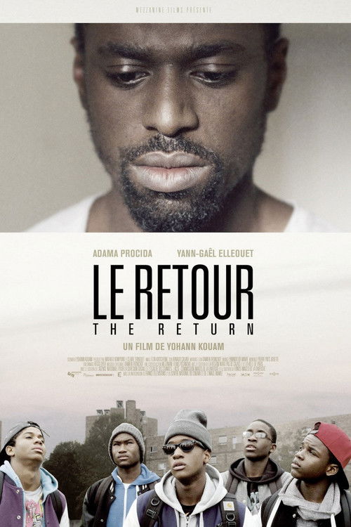 The Return (2014) poster