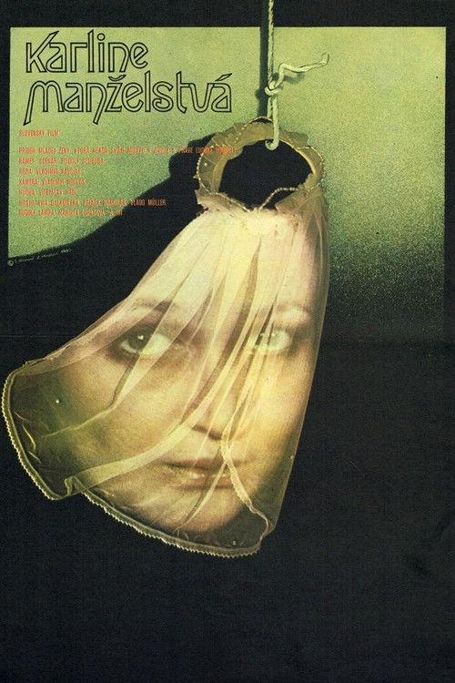 Karline manželstvá (1980) poster