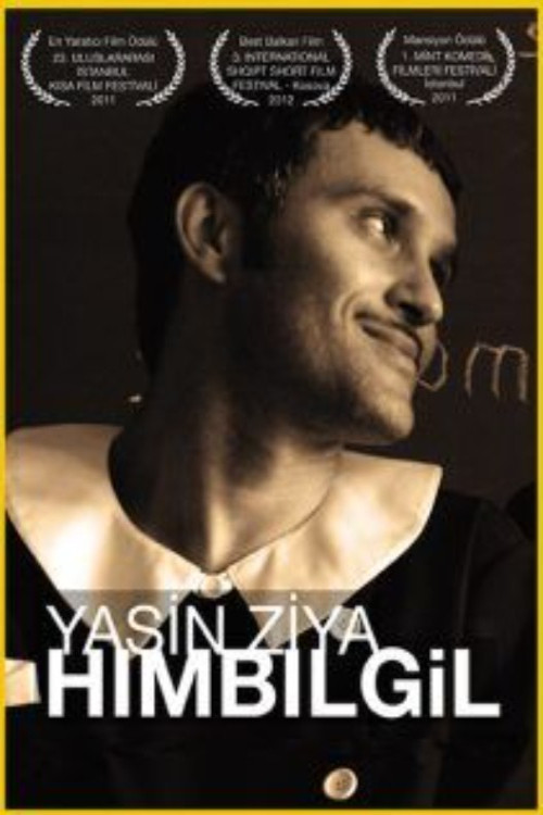 The Postmodern Existence of Hımbılgil (2011) poster