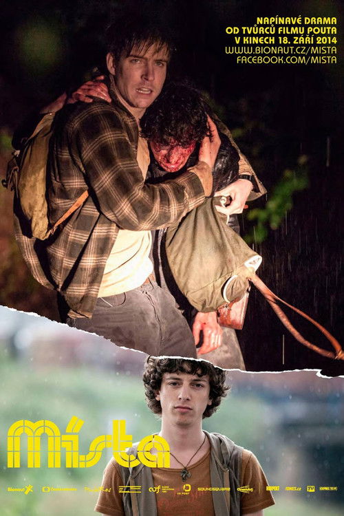 Místa (2014) poster