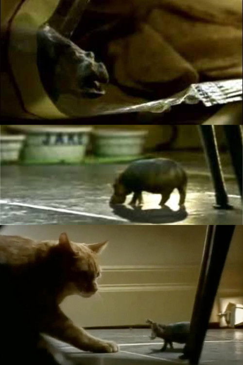 North American House Hippo (1999) poster