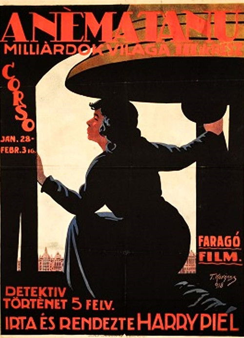 Der stumme Zeuge (1917) poster