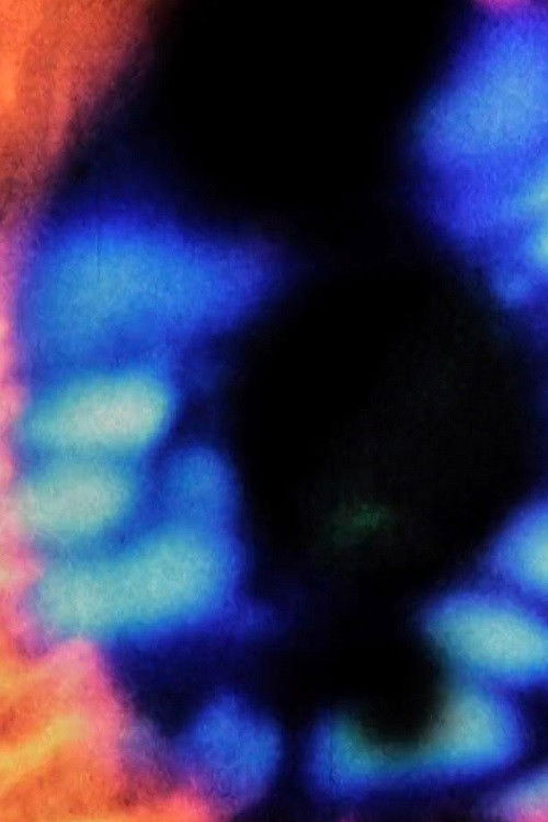 Girasoles (2015) poster