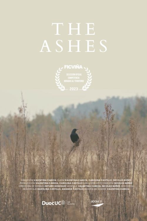 The Ashes (2023) poster