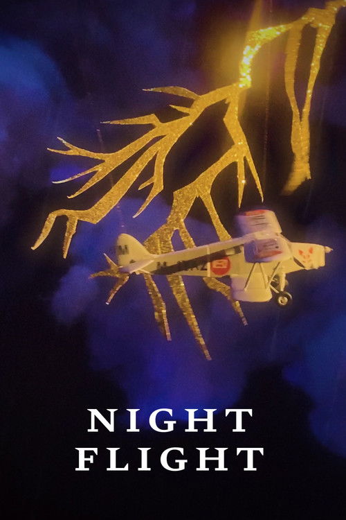 Night Flight (2020) poster